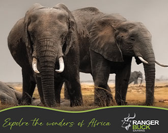 Ranger Buck Safaris East & South Africa